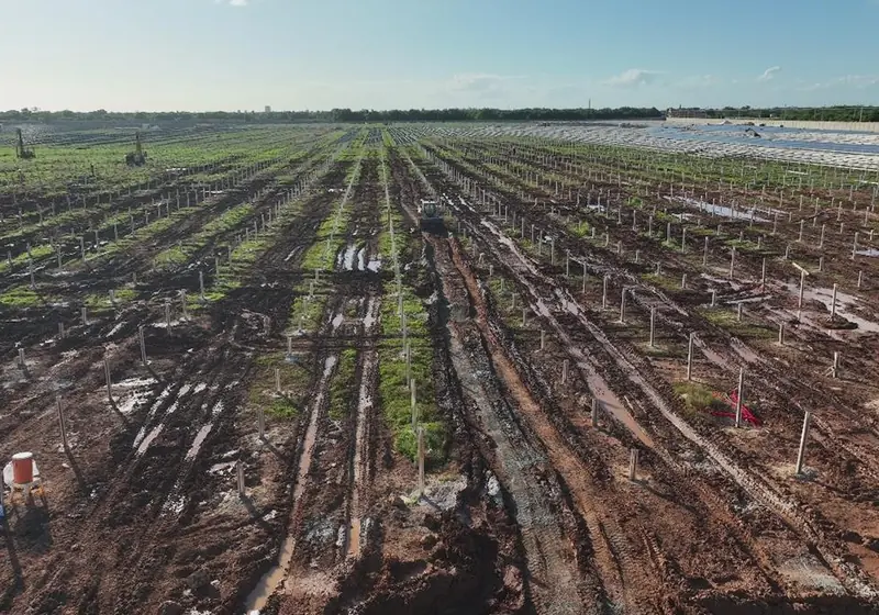 Parque solar fotovoltaico Costal de 130 MW, vista aérea de la obra